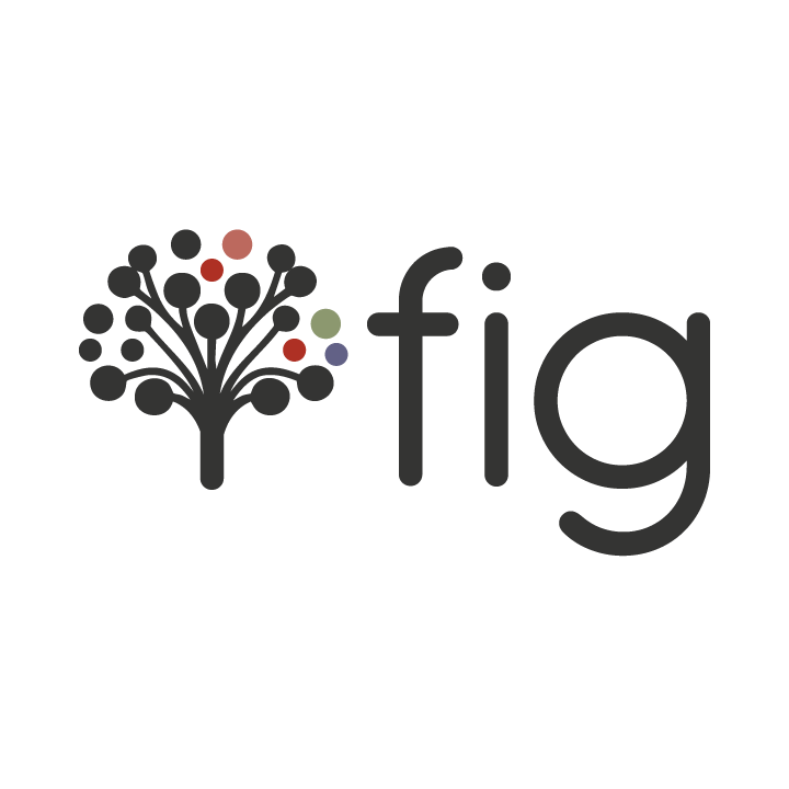 Fig Agent to automate business analytics - Main product screenshot demonstrating key features and user interface