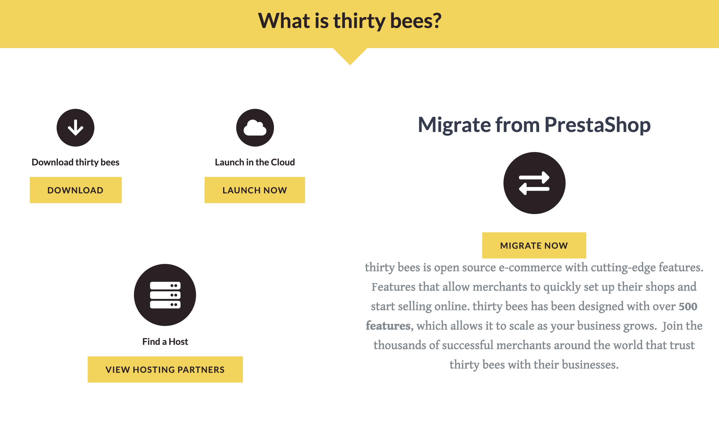 thirty bees gallery image