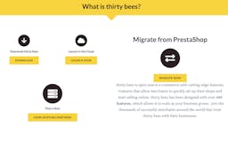 thirty bees media 3