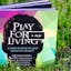 Play for a Living: A Coffee-Table Book for Your Inner Genius