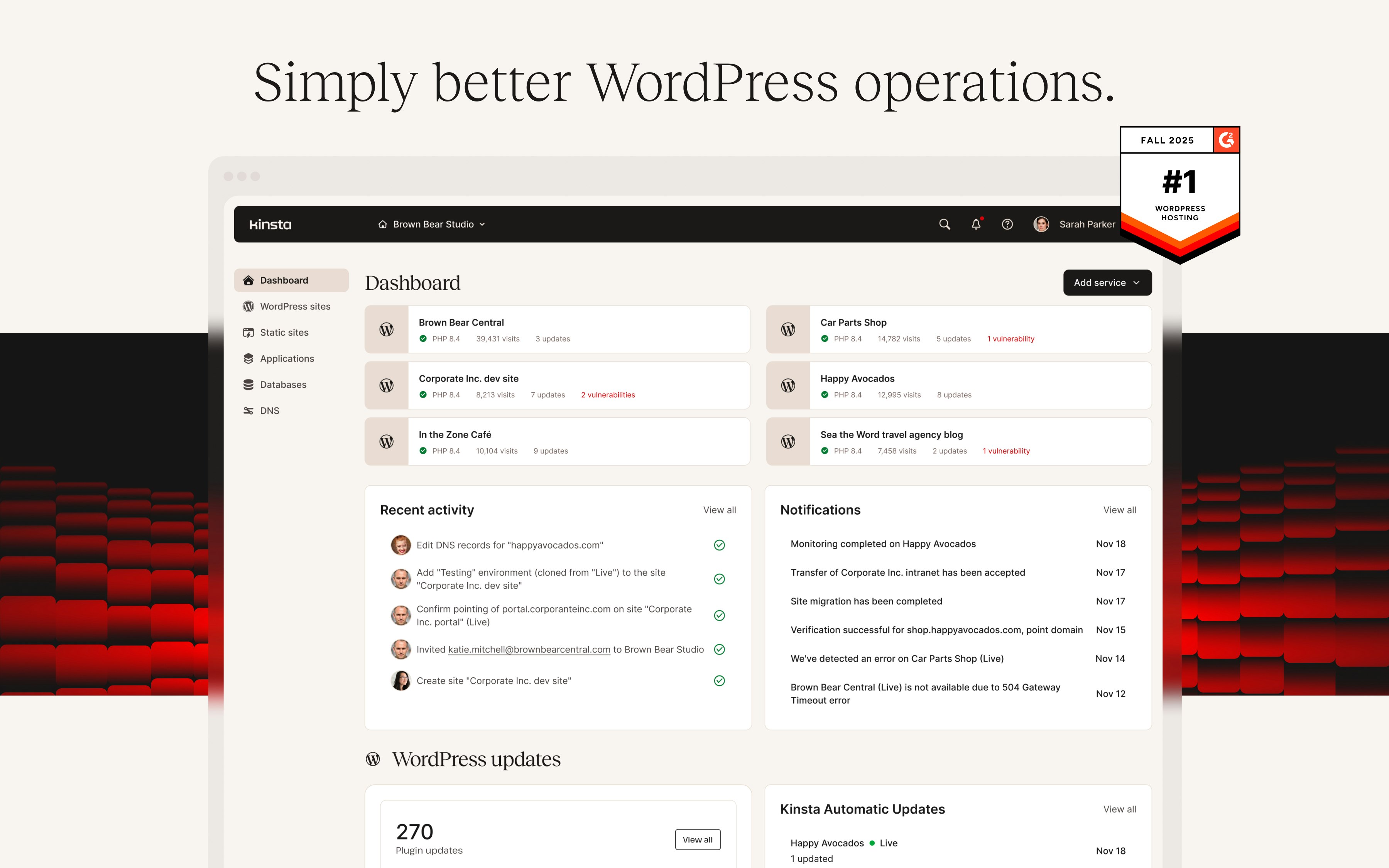 Kinsta gallery image