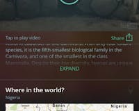 Curiosity media 1