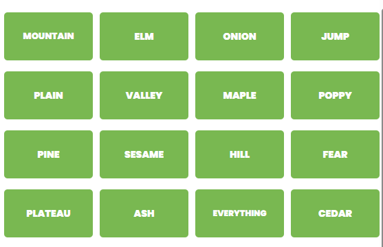 Connections Unlimited gallery image