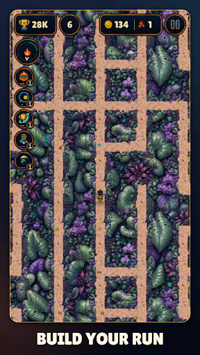 Maze Blaze gallery image
