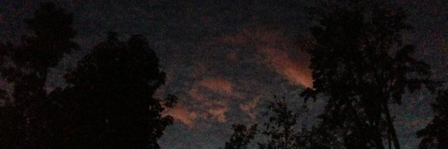 Chris Humphries cover