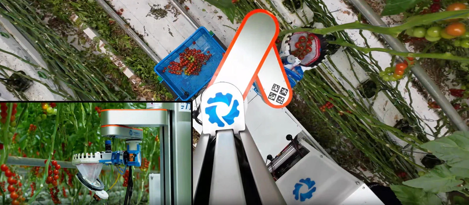 AI-based tomato-harvesting robot screenshot 3