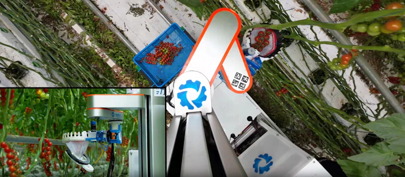 AI-based tomato-harvesting robot screenshot 3