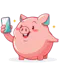 Snapbudget