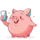 Snapbudget