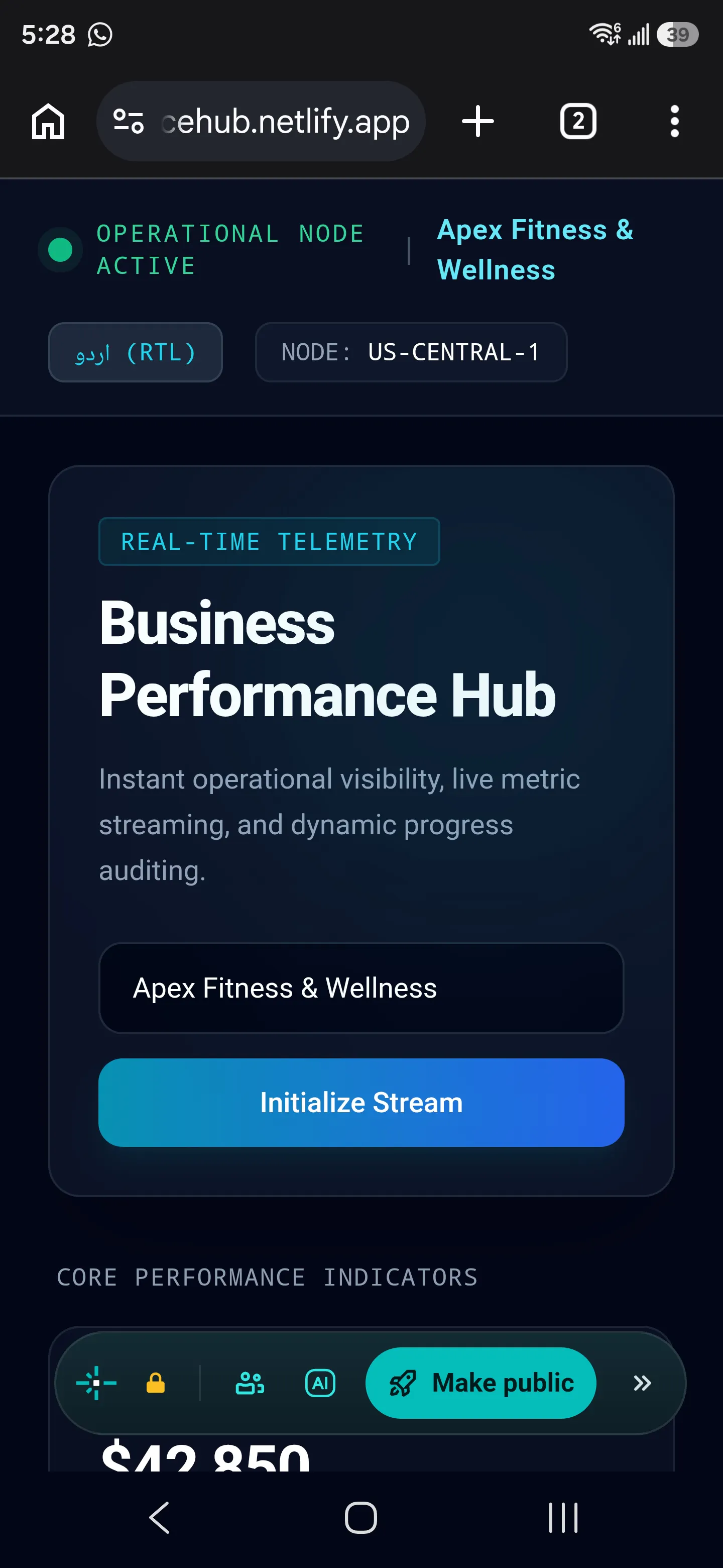 Business Performance Hub