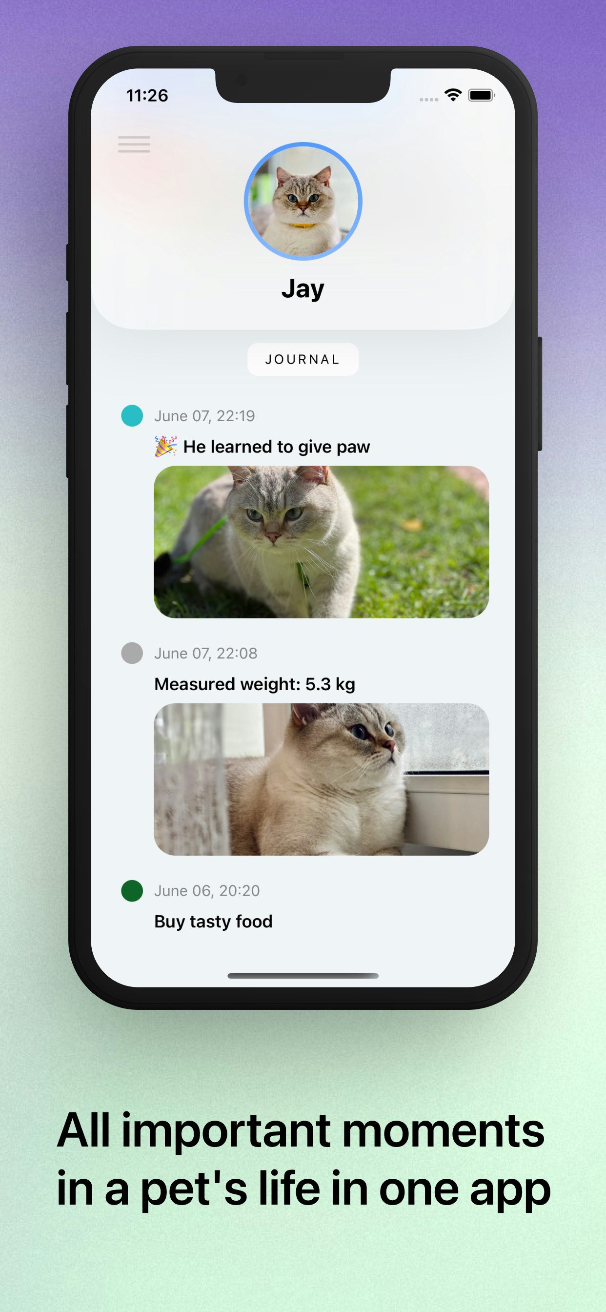 Petapet - pet diary - Your pet's favorite app media 2