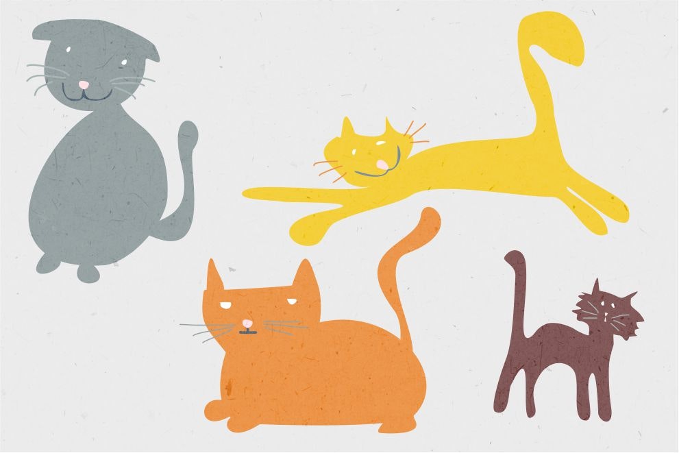 What's My Collective Noun? gallery image