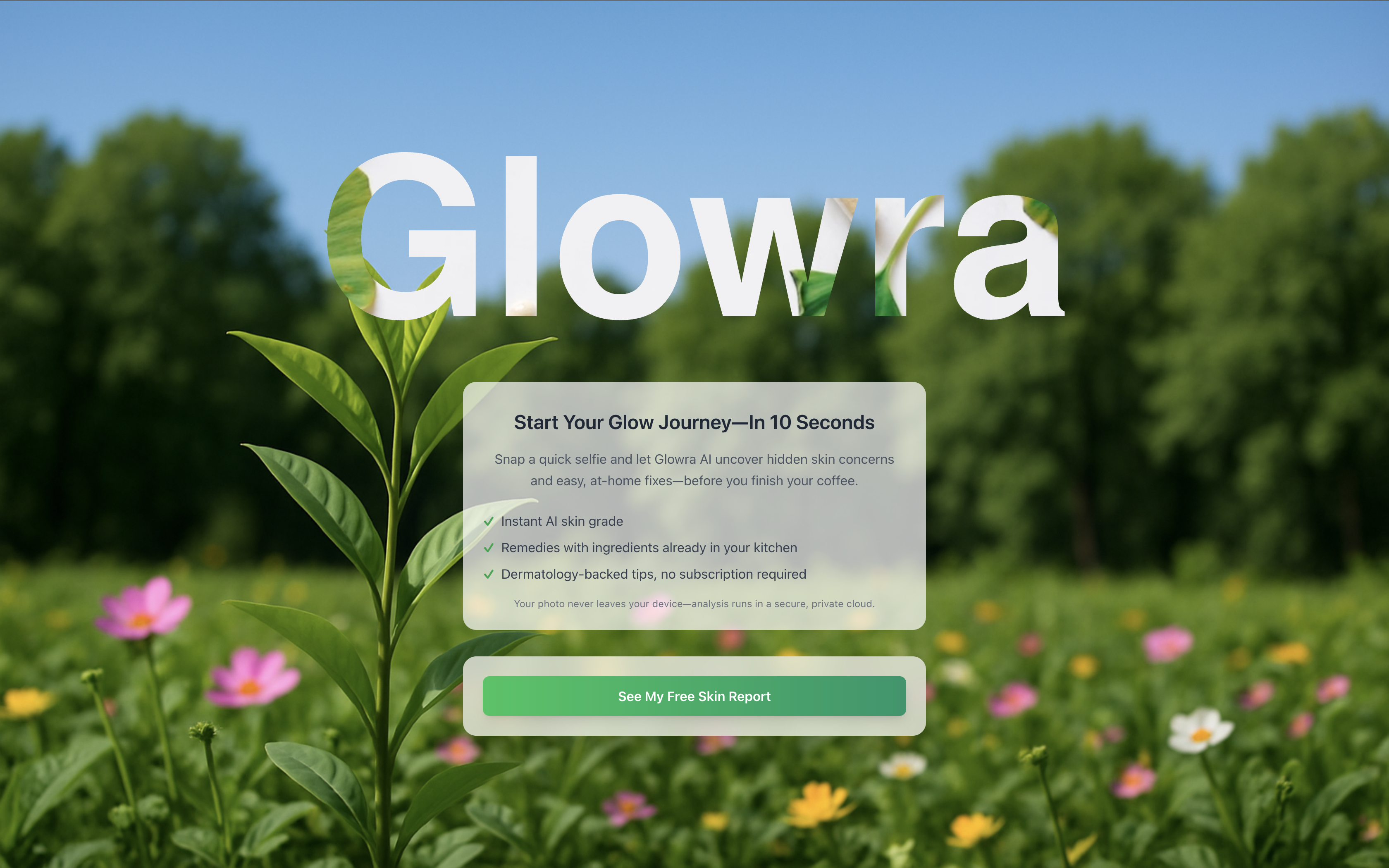 Glowra media 3