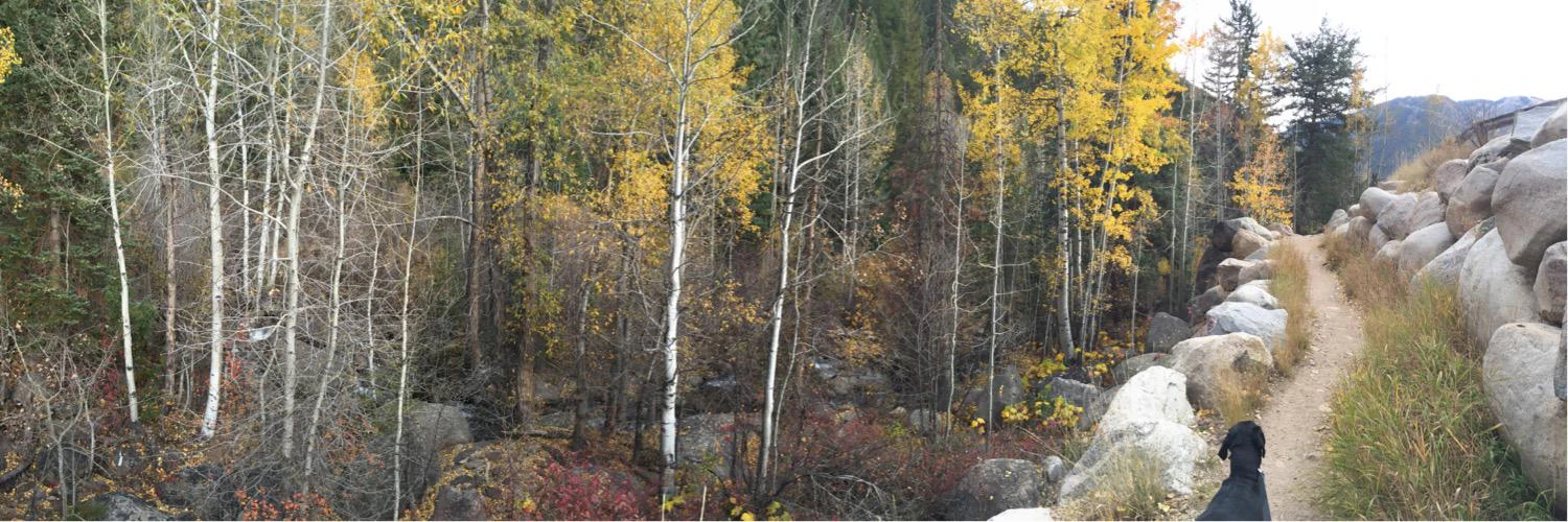 Miles Matthias cover