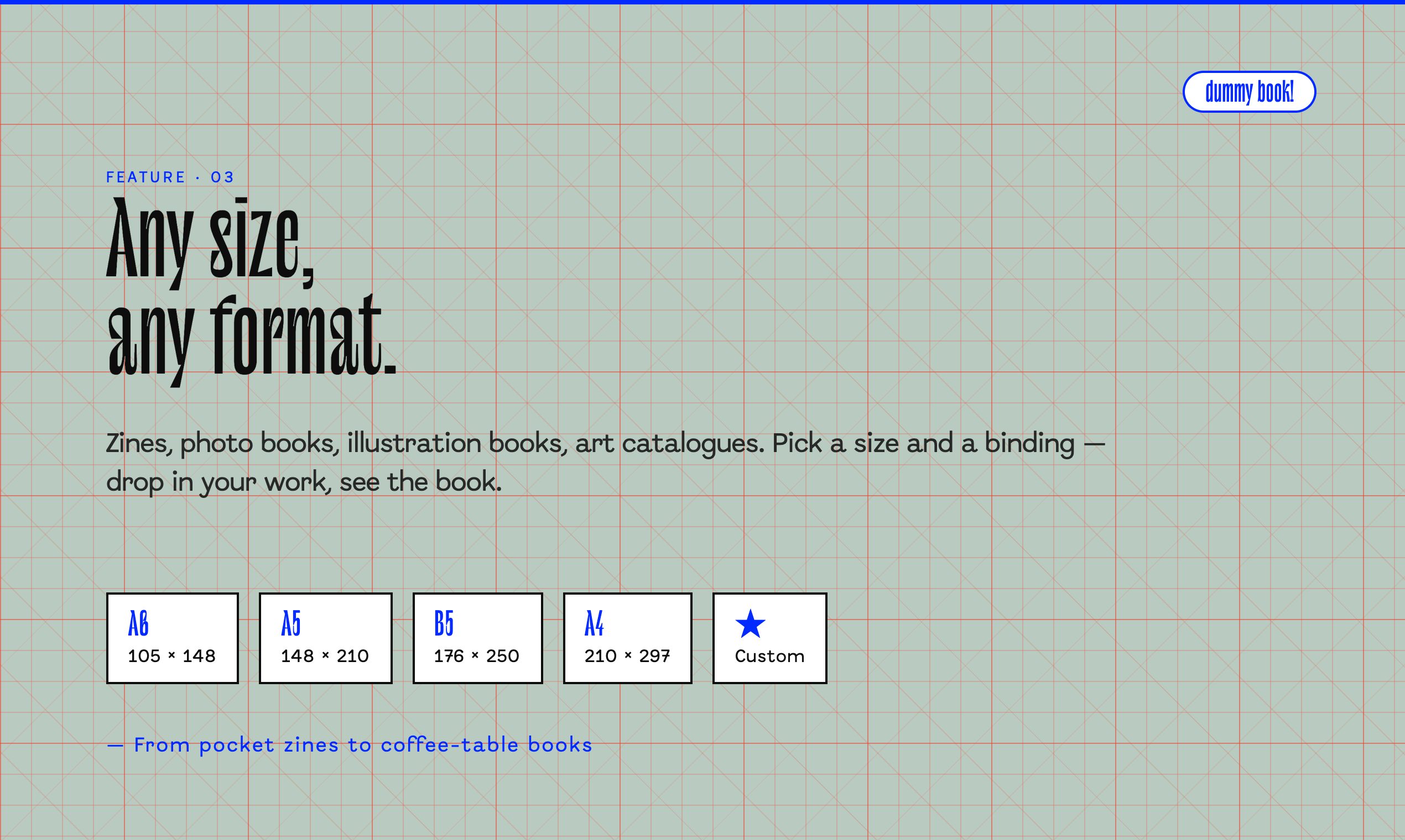 dummy book! gallery image