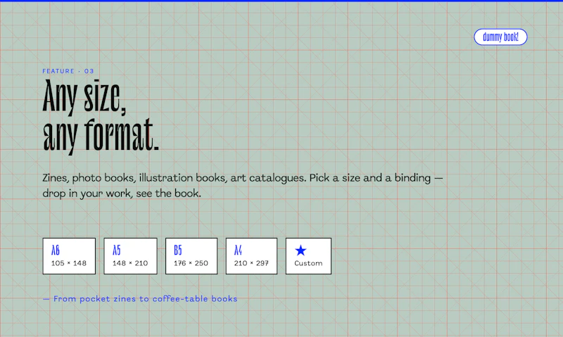 dummy book! screenshot 4