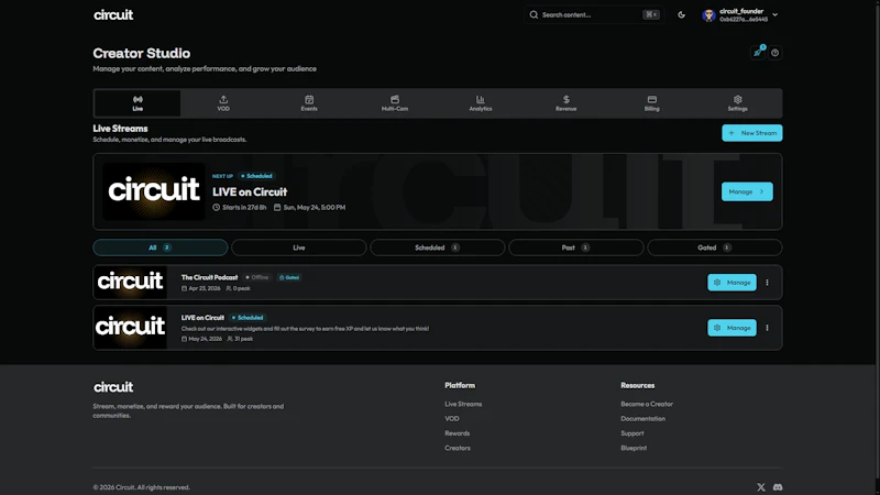 Circuit screenshot 8