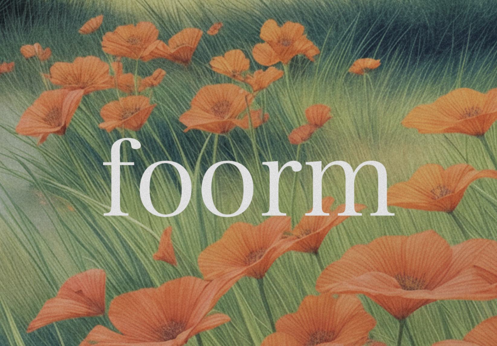 Foorm: Typeform & Bitly Alternative gallery image