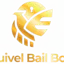 Bail Bondsman Texas