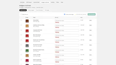 LinkBrainly: Internal Link SEO gallery image