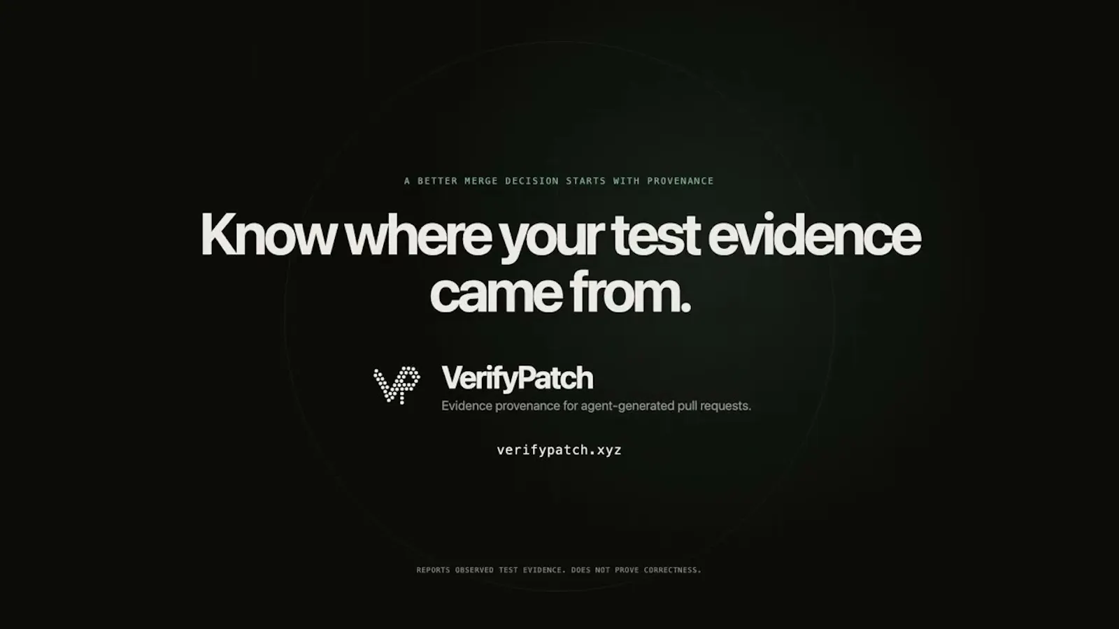 VerifyPatch screenshot 1 (video preview)