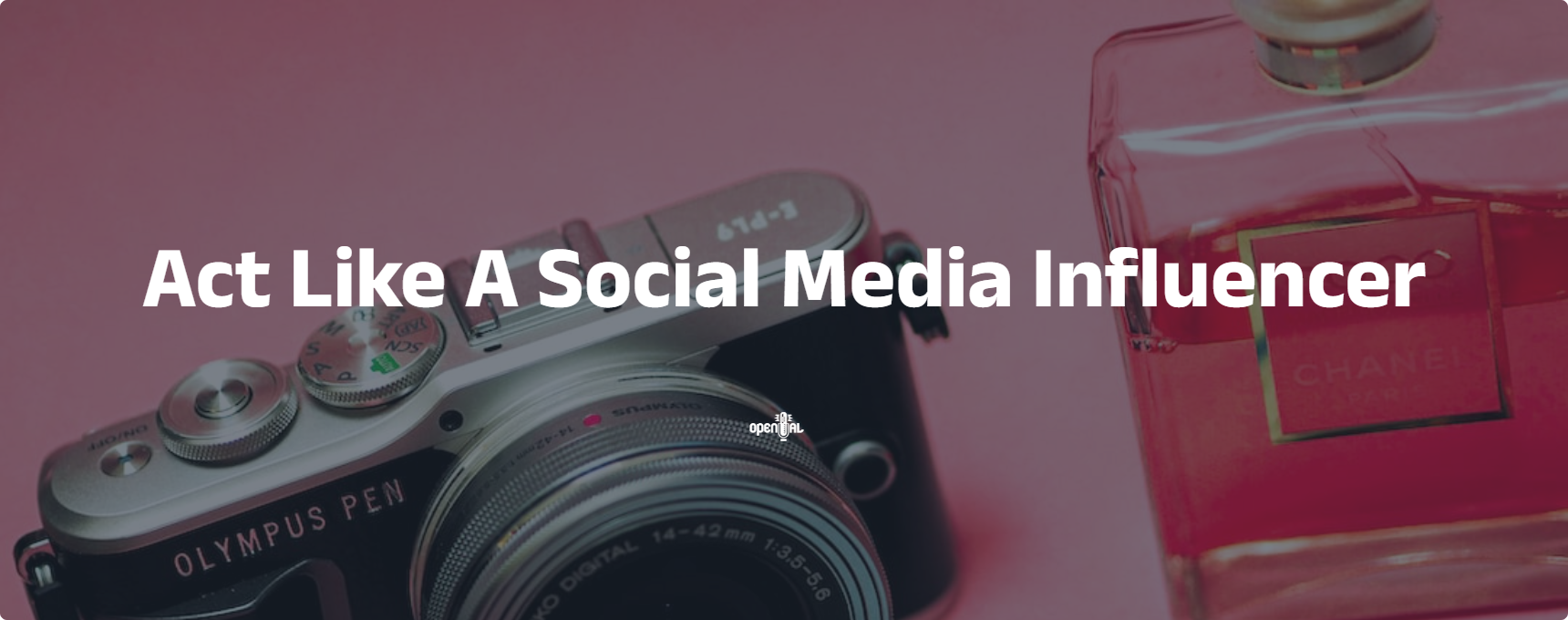 100+ Curated chatGPT Prompts gallery image