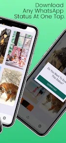 Status Saver for WhatsApp gallery image
