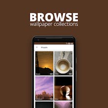 Wopple gallery image