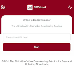 Online Video Downloader Service gallery image