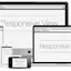 Responsive View
