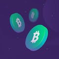 Code Protected Crypto Payments