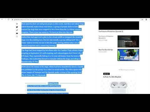 Wordbot gallery image