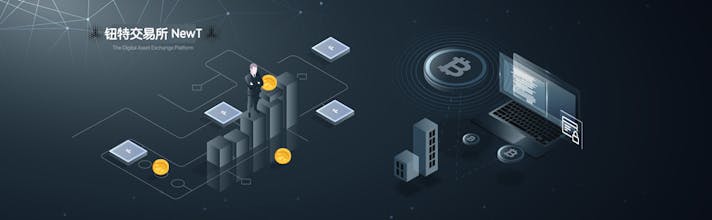 Huincoin gallery image