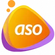 Advanced System Opti... logo