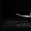 Gymnastic Bodies