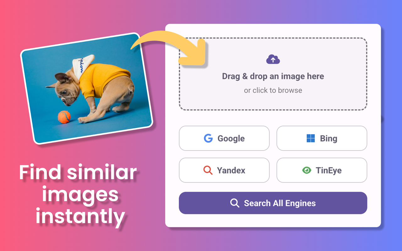 Reverse Image Search Tools - Main product screenshot demonstrating key features and user interface