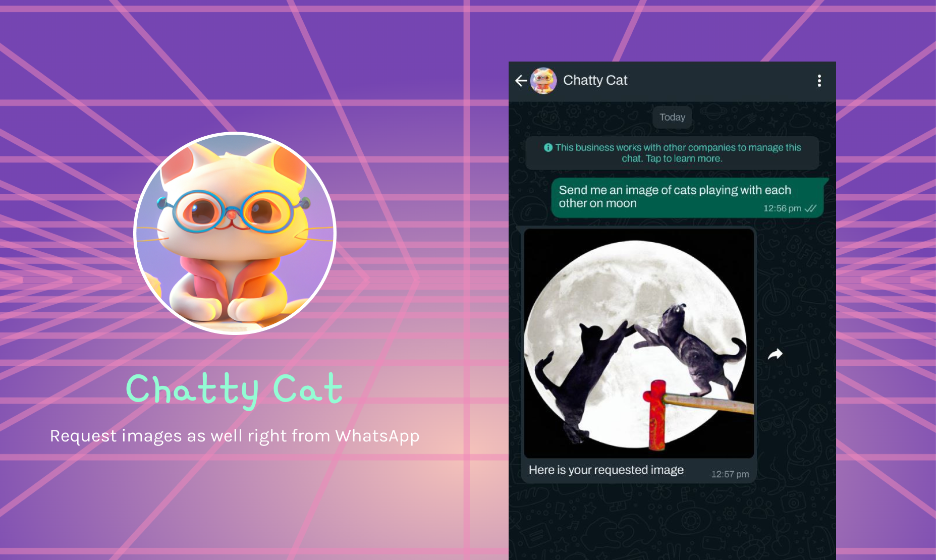 Gatty Cat - CHATGPT su WhatsApp media 6