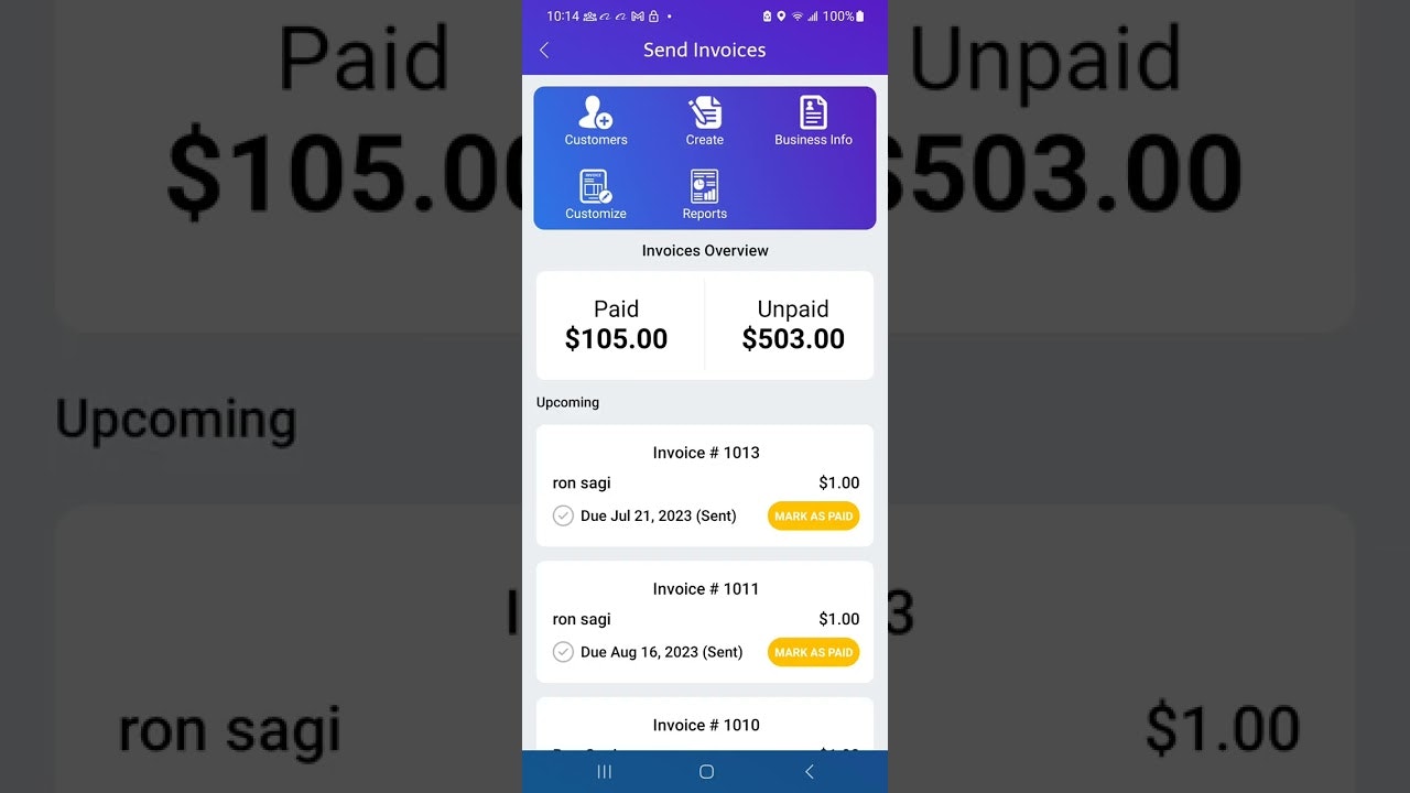 Blueberry POS gallery image
