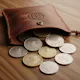 The Pocket Ledger