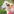 Findster