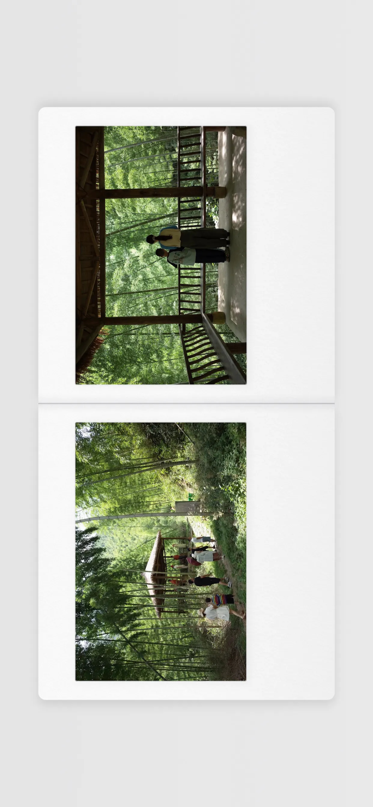 LumaPane gallery image