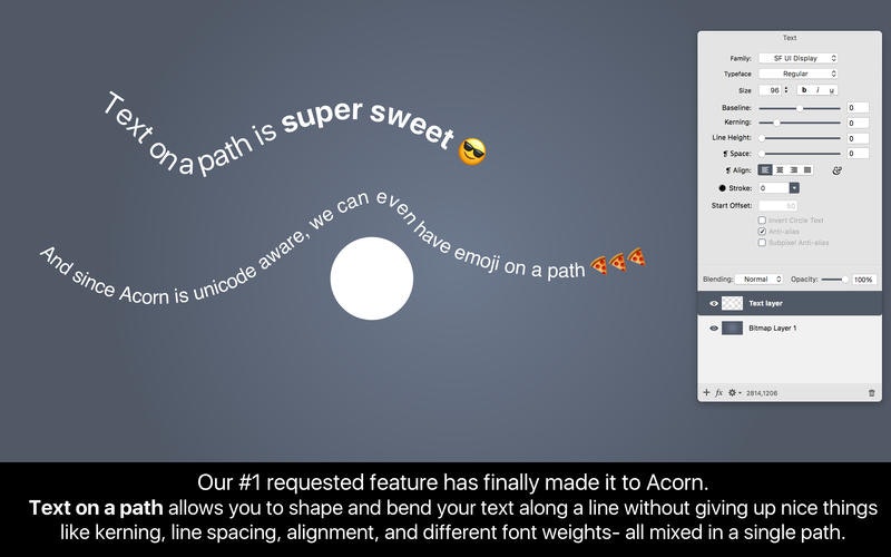 Acorn 6 gallery image