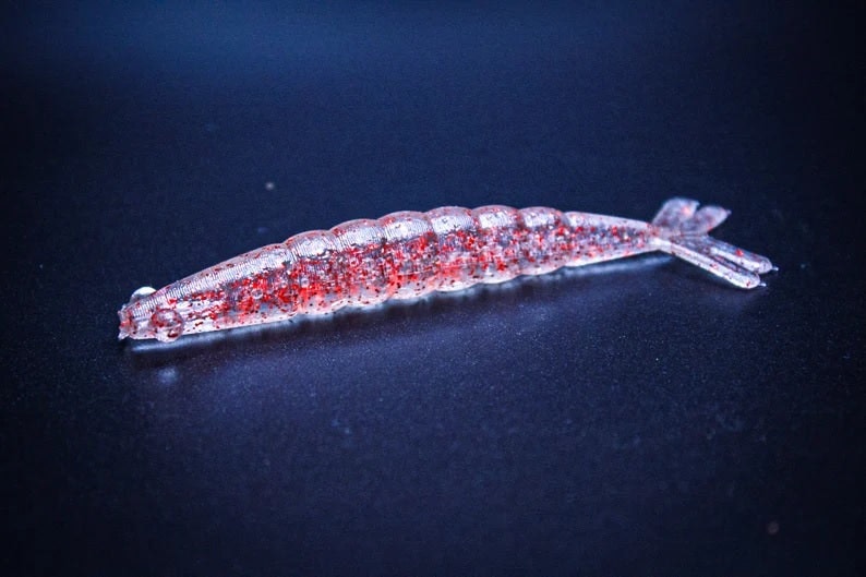 Reel Deal Bait and Tackle - Camarón media 1