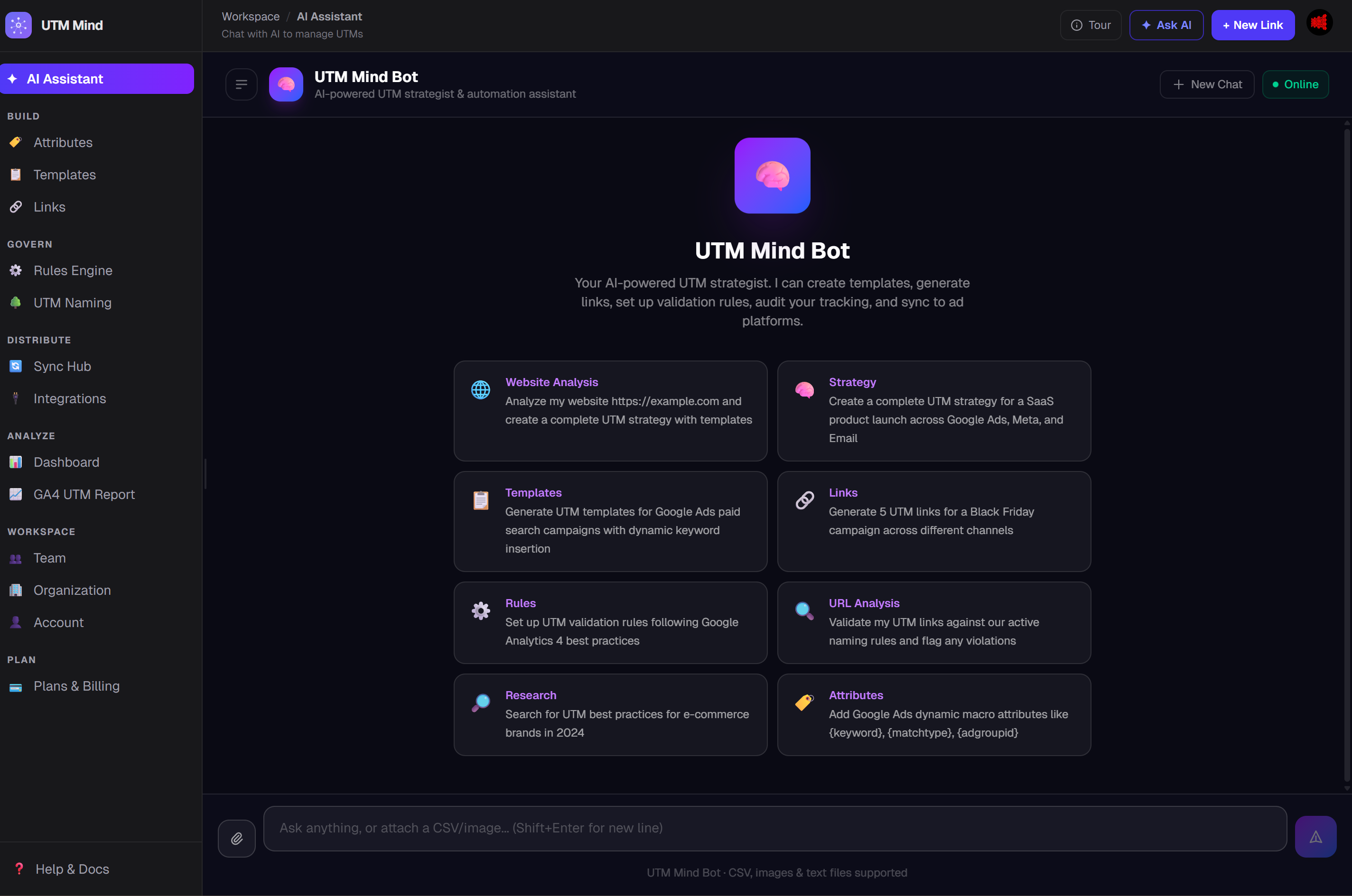 UTM Mind gallery image