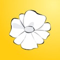 Lutea