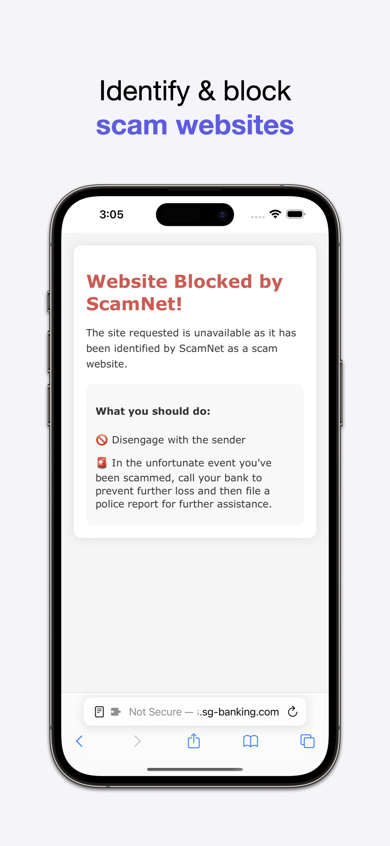 ScamNet gallery image