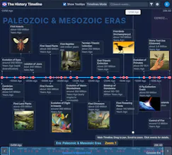 The Timelines gallery image