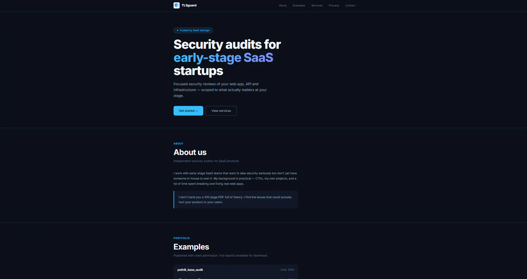 TLSguard — Security Audits for SaaS gallery image