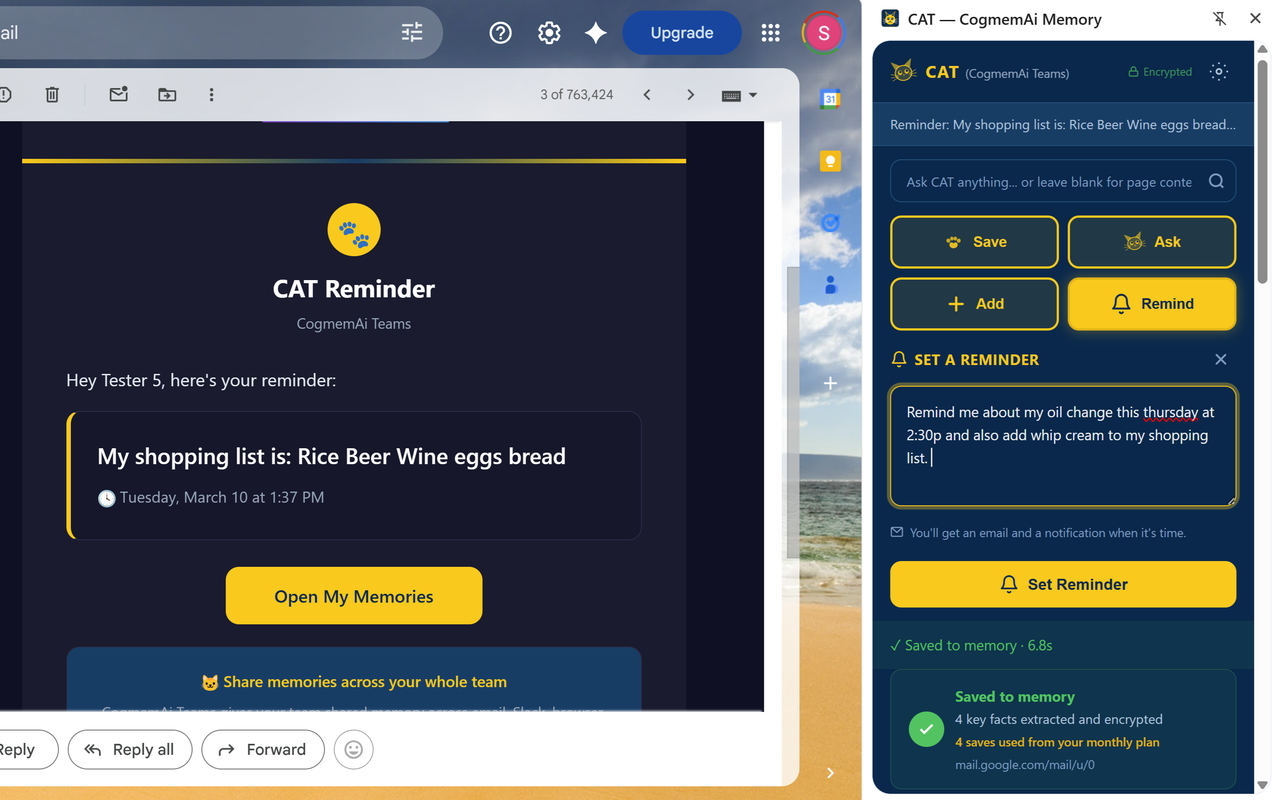 CAT - AI Memory for Browser & Email gallery image