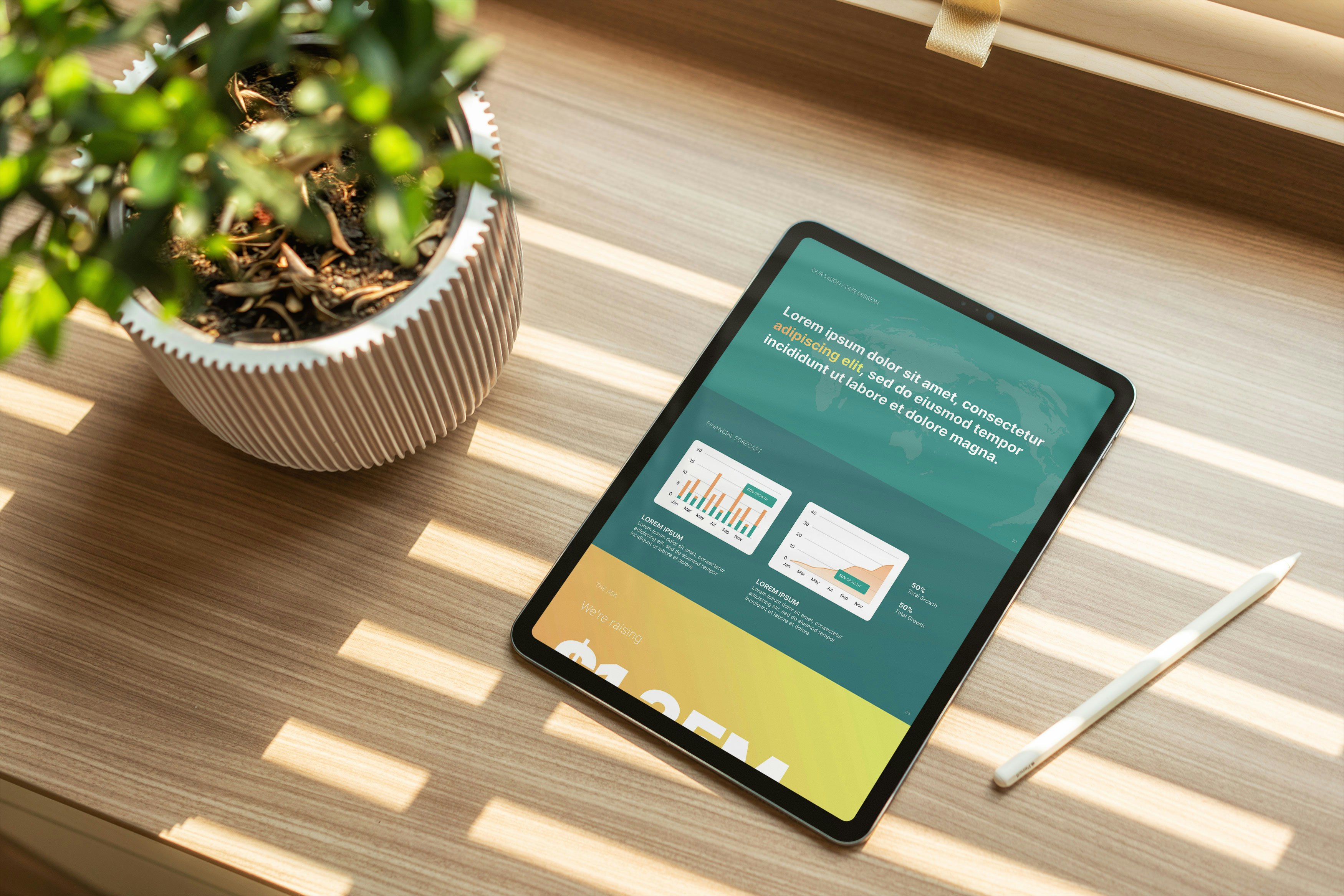Kiwi: modèle de pitch de pitch gratuitement media 5